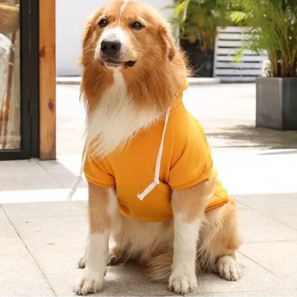 New XL gold dog sweatshirt for fall and winter - Picture 3 of 7